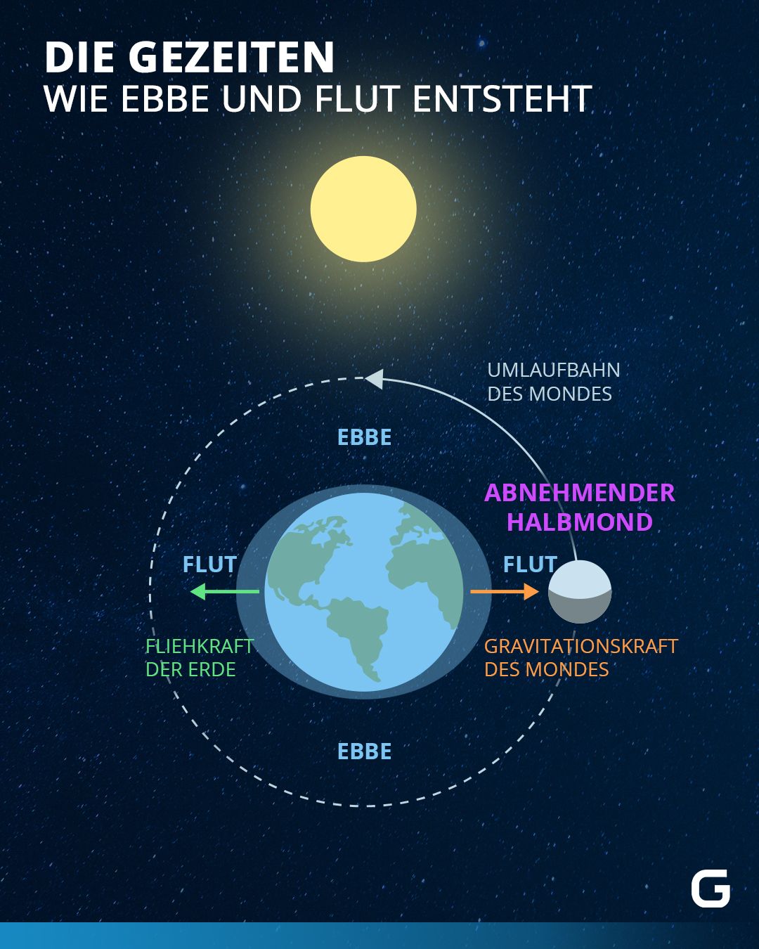 Bild zum Thema Einfach erklärt: So funktionieren Gezeiten