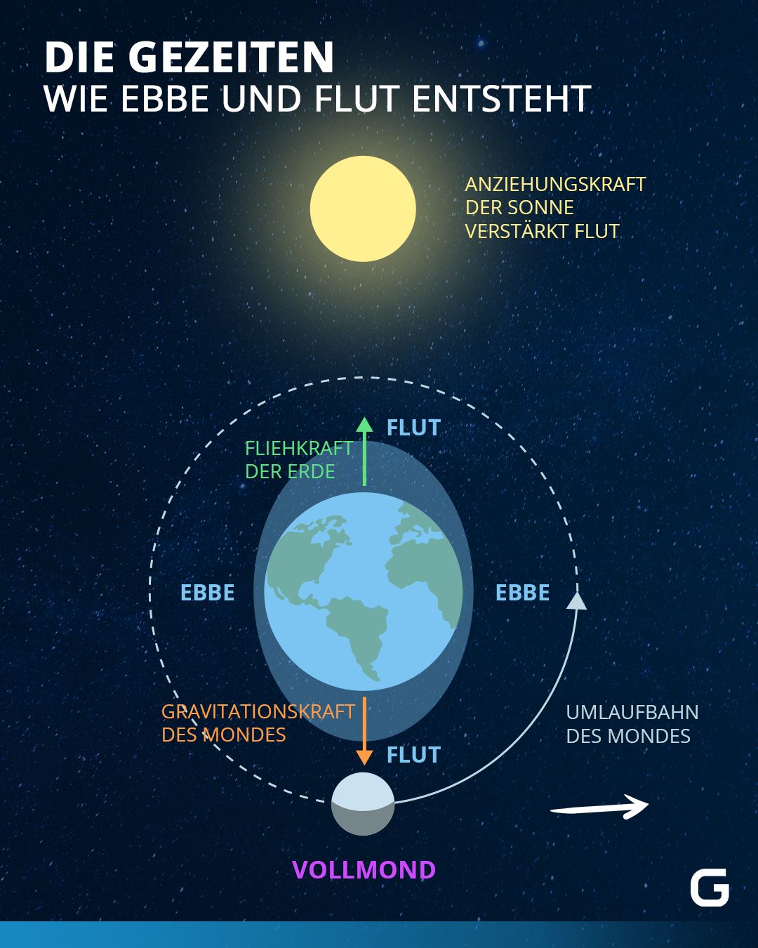 Bild zum Thema Einfach erklärt: So funktionieren Gezeiten