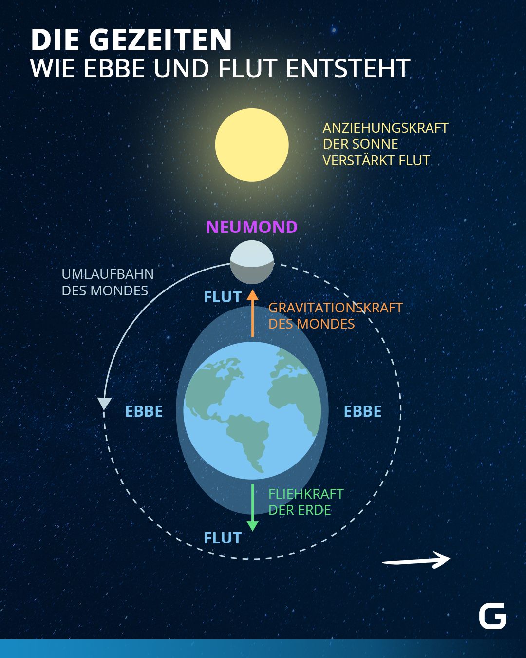 Bild zum Thema Einfach erklärt: So funktionieren Gezeiten