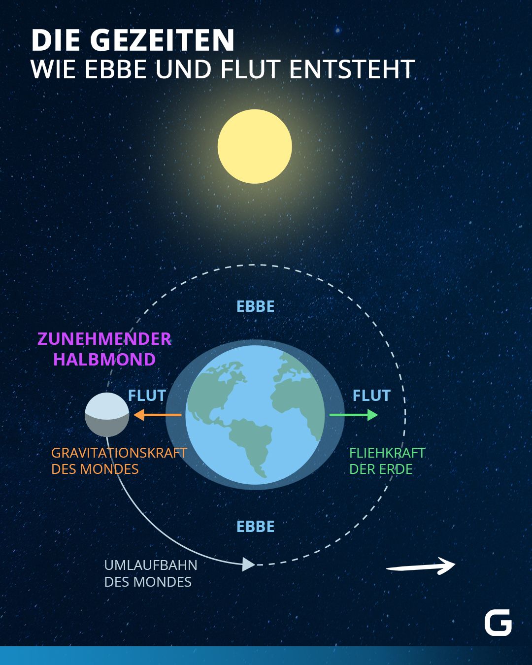 Bild zum Thema Einfach erklärt: So funktionieren Gezeiten