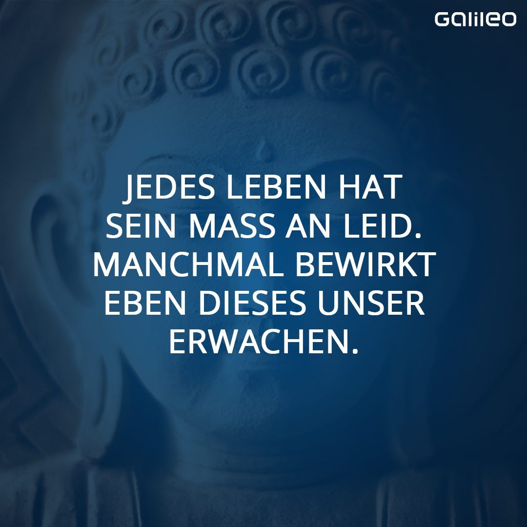 Bild zum Thema Buddhismus: Lehre, Regeln und Lebensweise der Anhänger:innen
