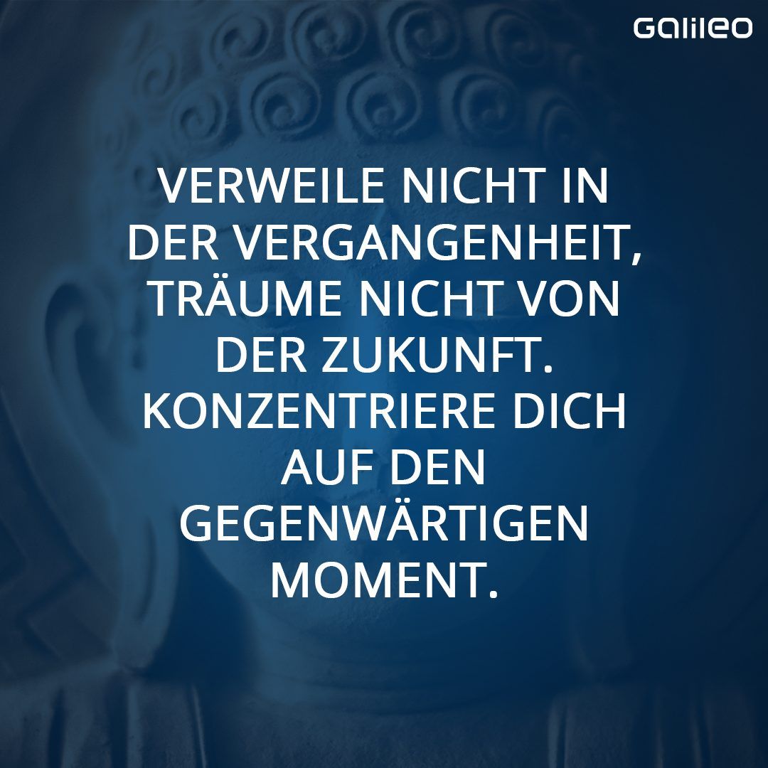 Bild zum Thema Buddhismus: Lehre, Regeln und Lebensweise der Anhänger:innen