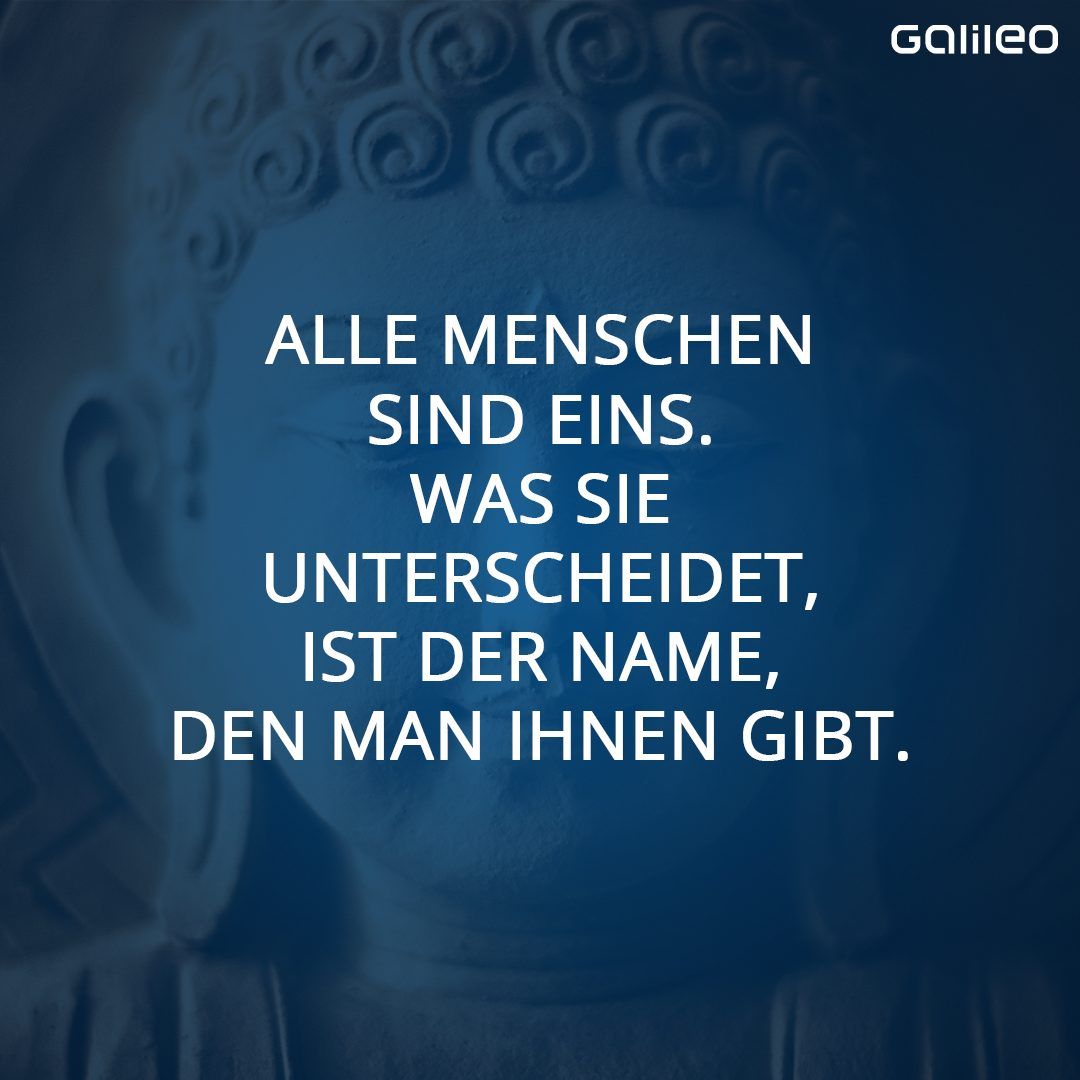 Bild zum Thema Buddhismus: Lehre, Regeln und Lebensweise der Anhänger:innen