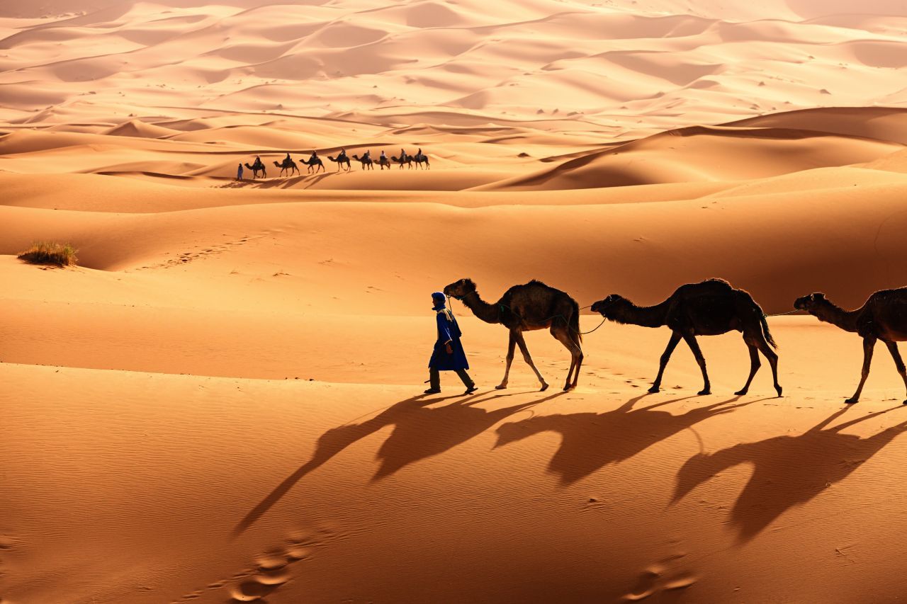 Bild zum Thema Bilder der Sahara: So sieht es in der Wüste aus