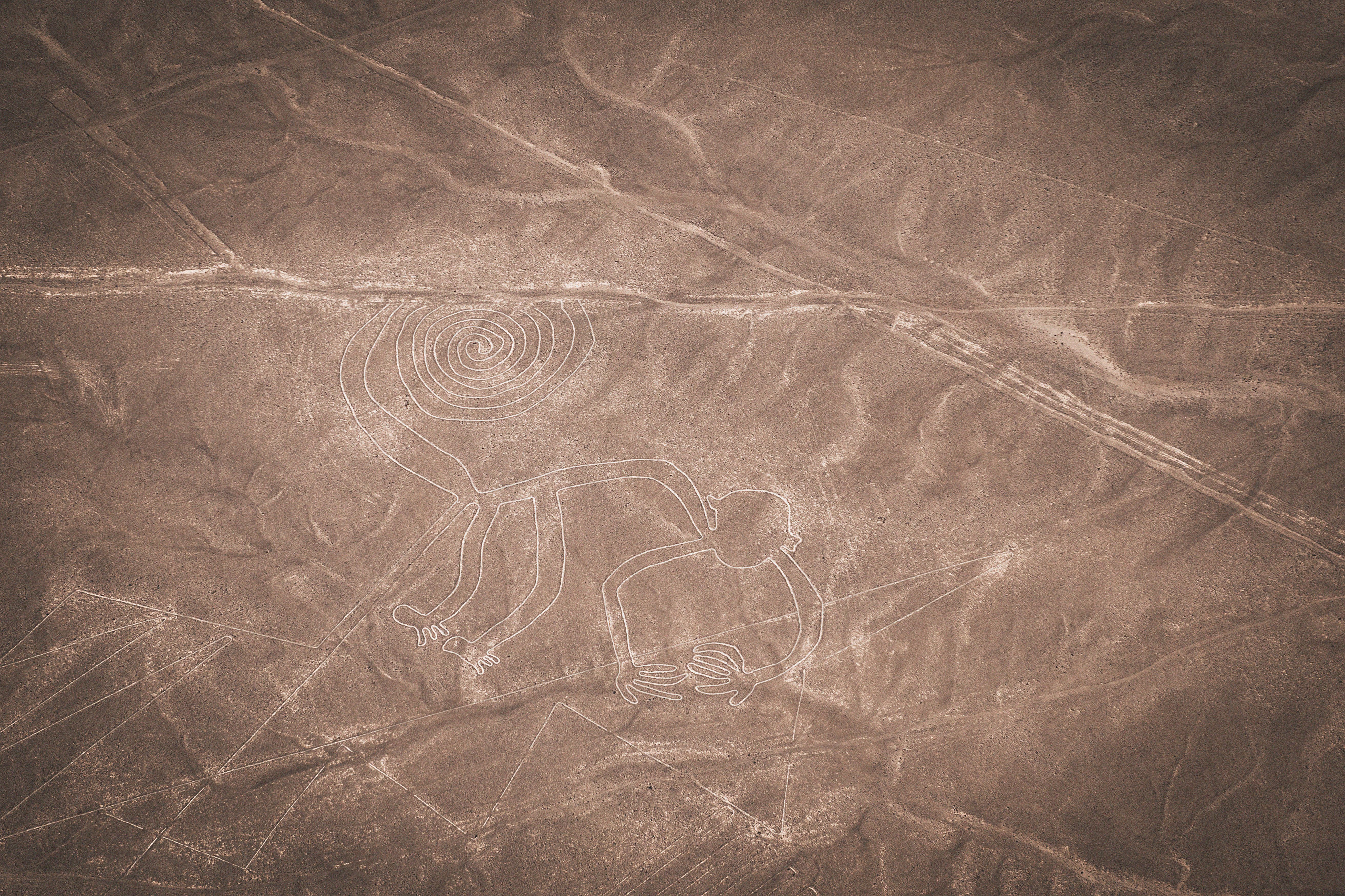 Bild zum Thema Nazca-Linien: Die Bilder von Hund, Affe, Astronaut und Co. in Peru