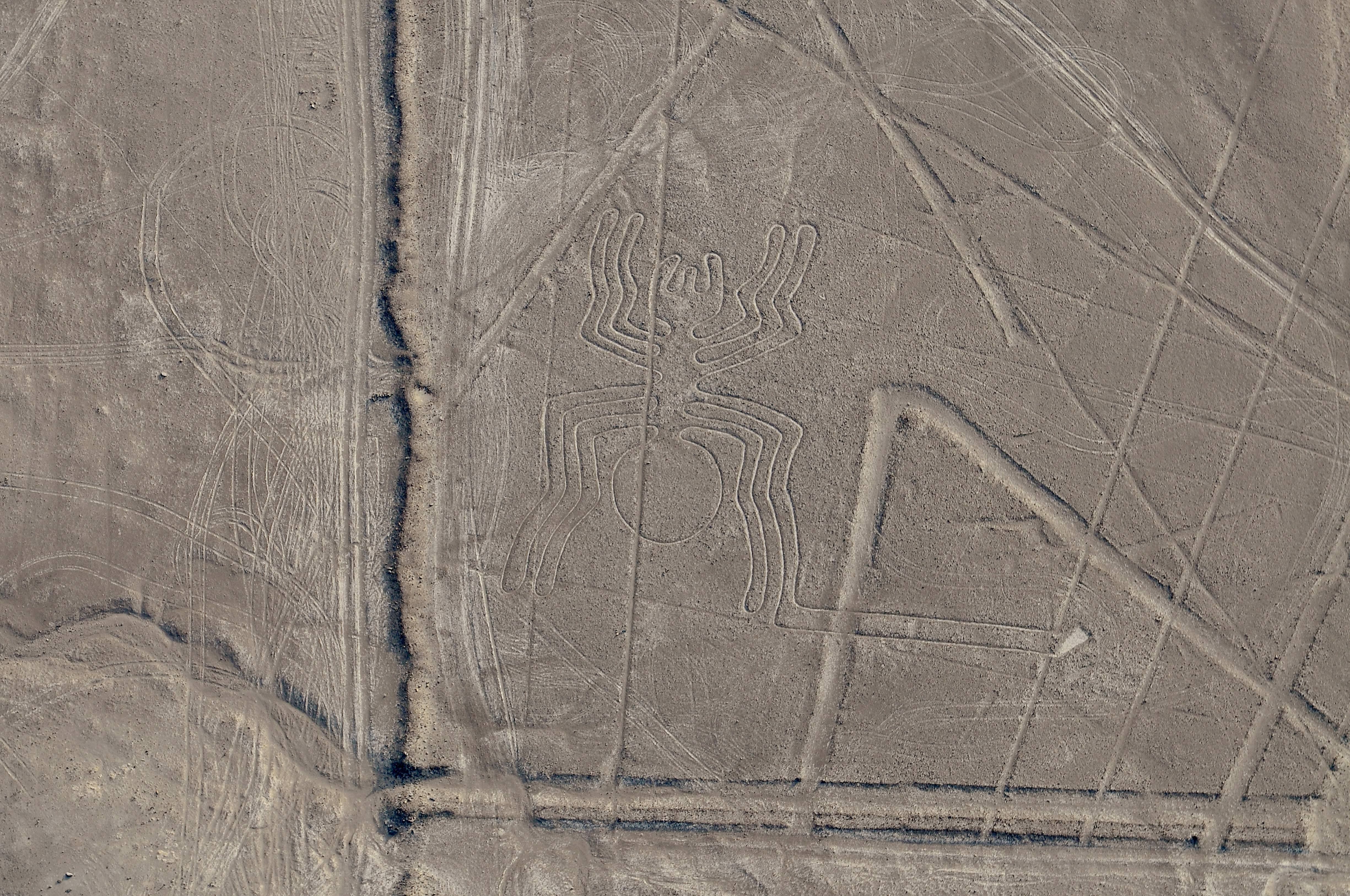 Bild zum Thema Nazca-Linien: Die Bilder von Hund, Affe, Astronaut und Co. in Peru