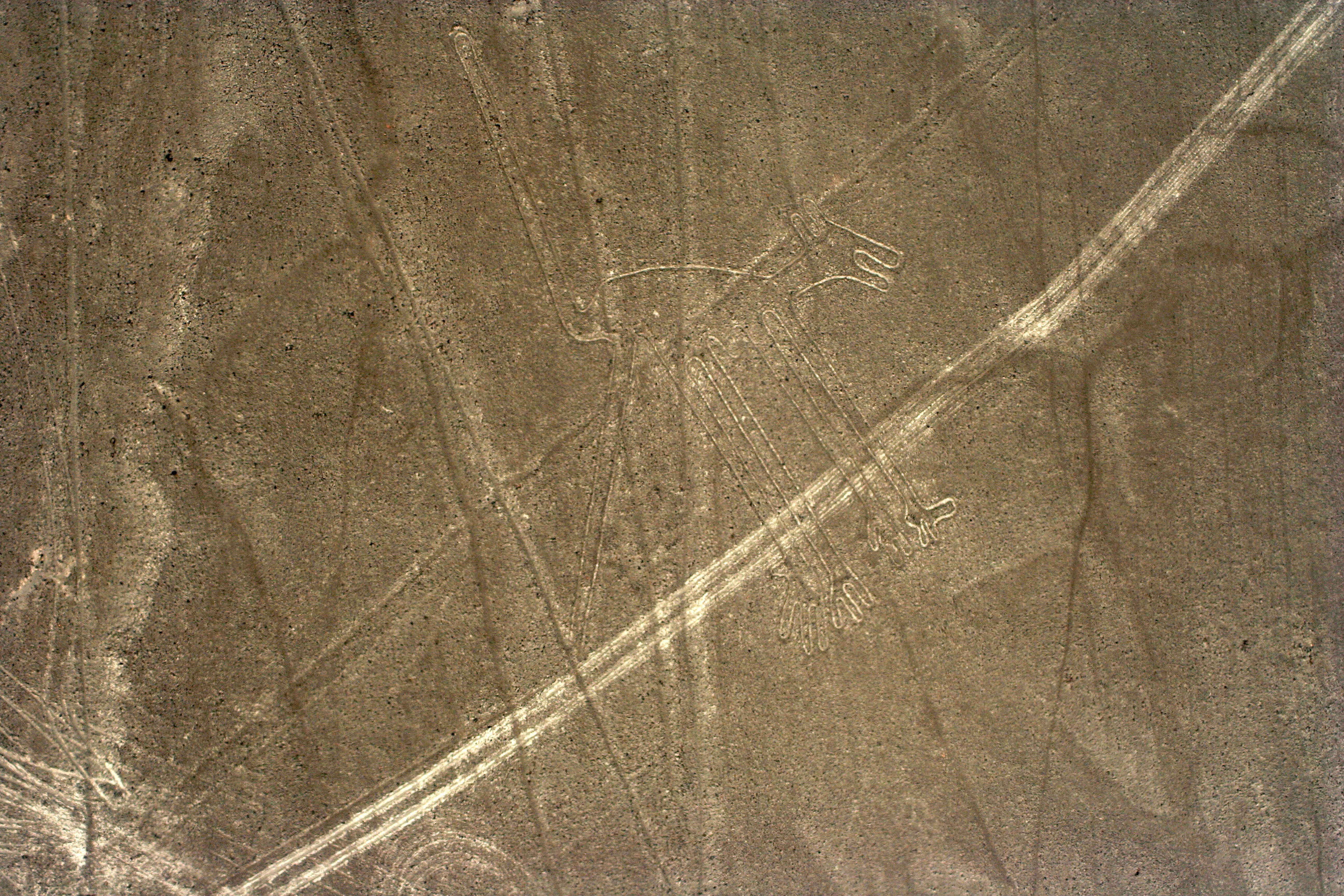 Bild zum Thema Nazca-Linien: Die Bilder von Hund, Affe, Astronaut und Co. in Peru